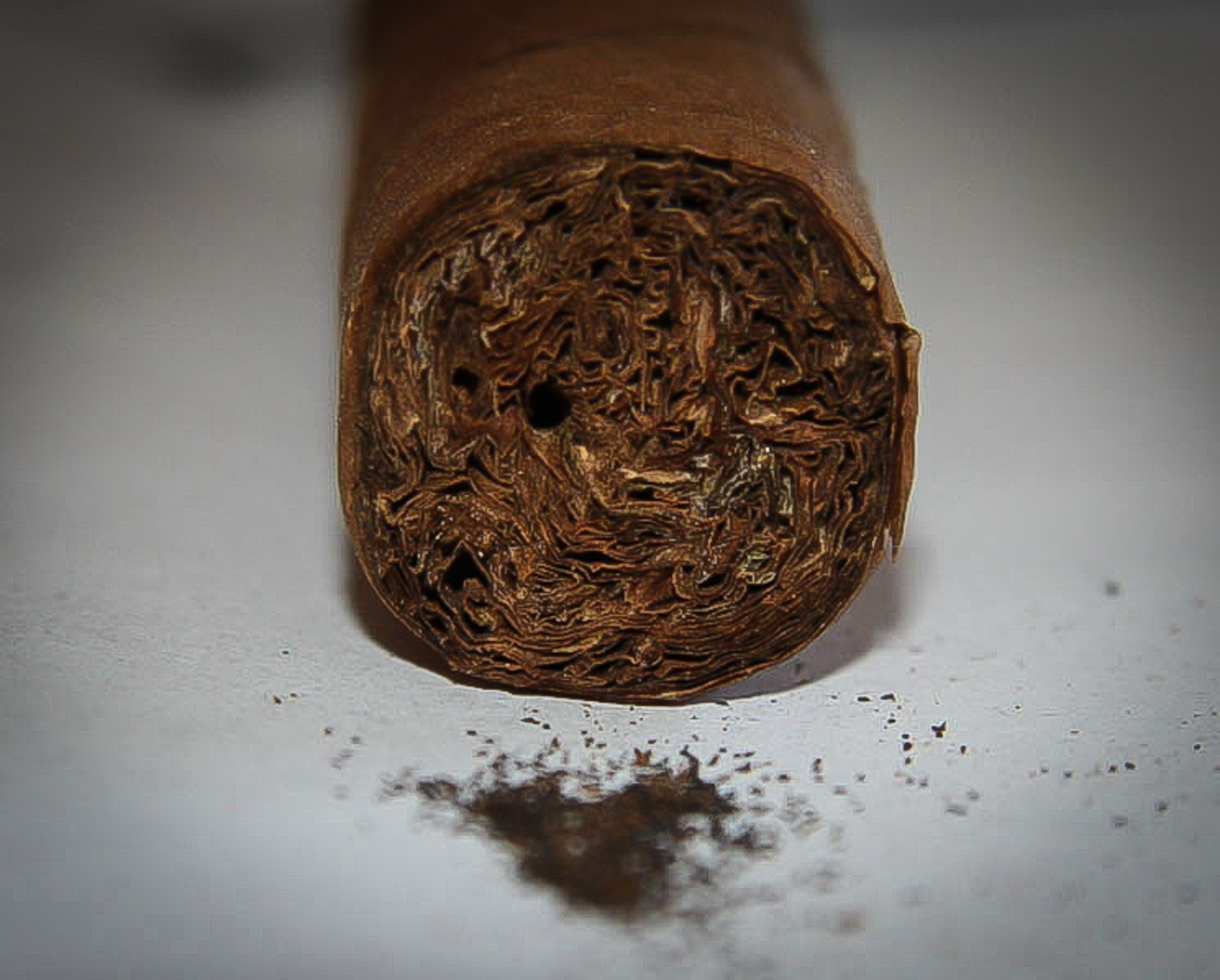 Beetle-Hole-in-a-Cigar.jpg