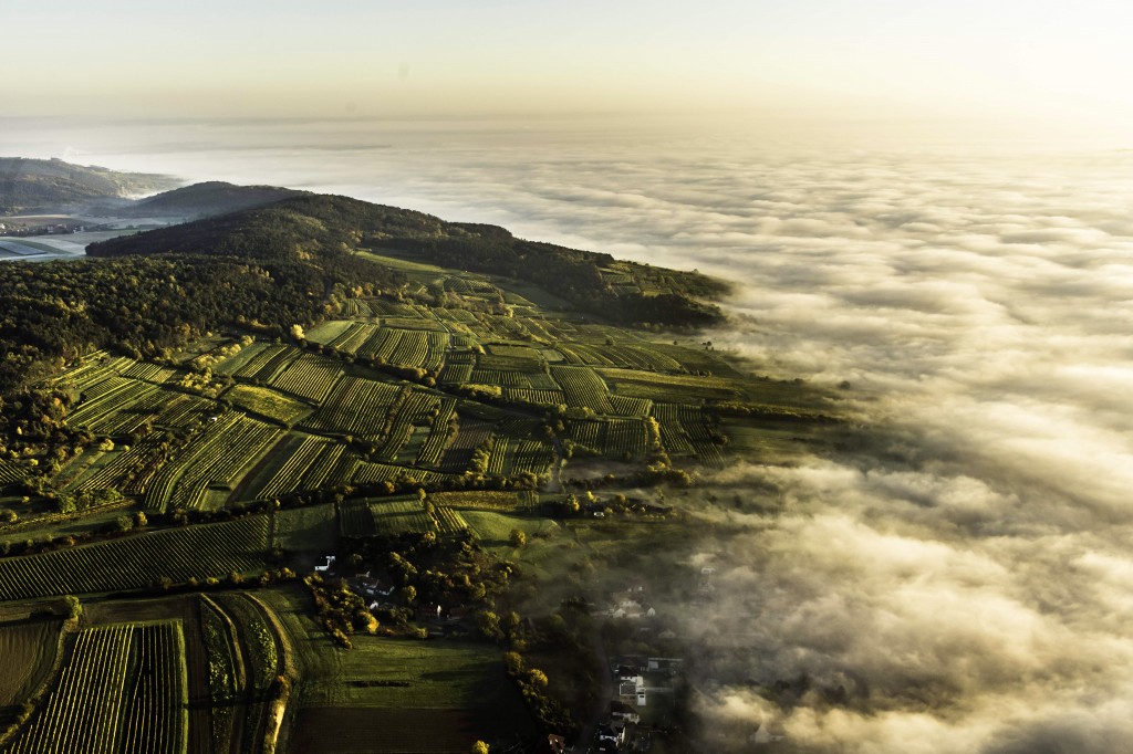 aerial_zwirch_large-1024x682